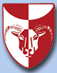Narsaq