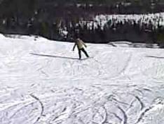 Video Skärsjövålen
