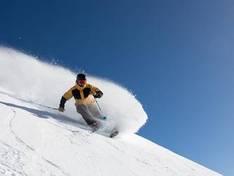 Video Perisher