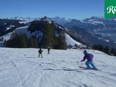 Video Rigi
