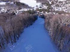Video Holimont
