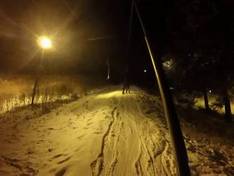 Video Brantling