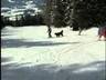 Film/video of the ski resort Tonnerhütte – Mühlen
