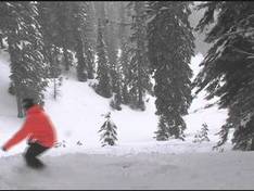 Video Bluewood