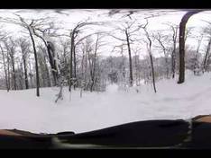 Video Buffalo