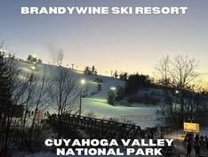 Video Brandywine