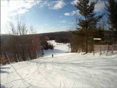 Video Treetops