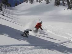 Video Powderbird