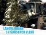 Film/video of the ski resort Tanvaldský Špičák