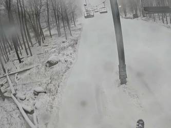 Cupid Express High Speed Quad